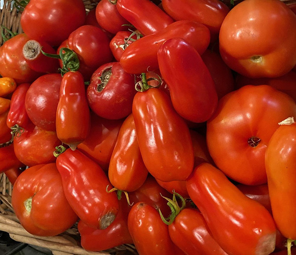 A group of small red tomatoes