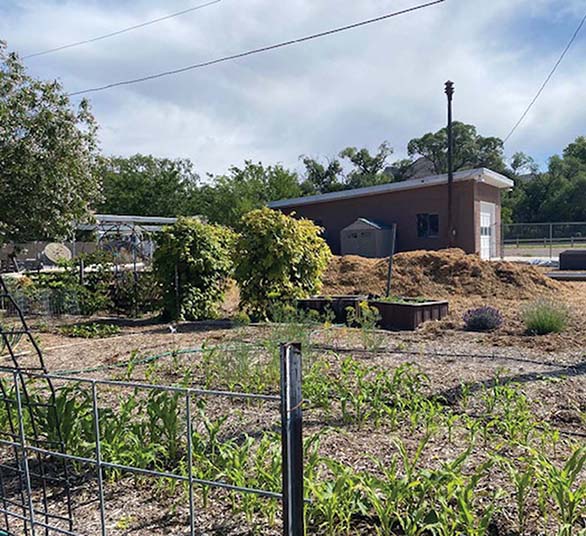 Caliente Community Garden.
