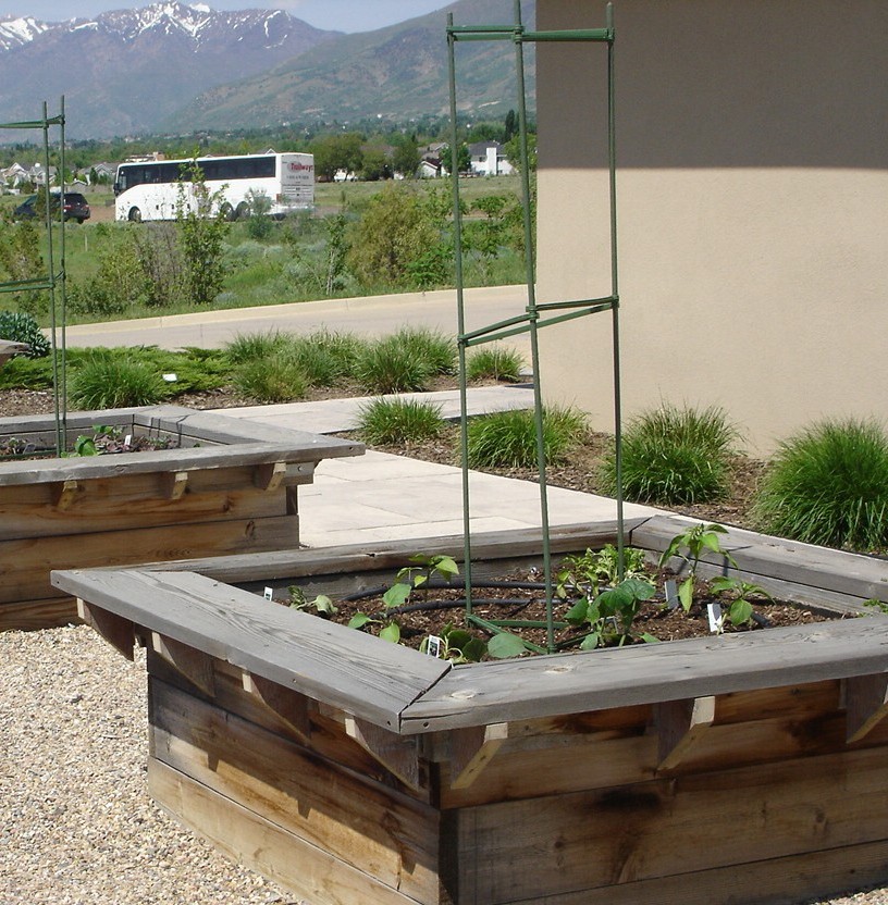A pair of raised garden beds with small, new plants