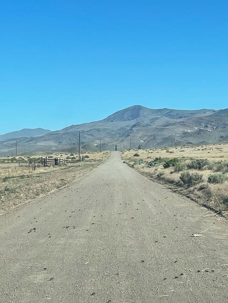 dirt road with mountains in background