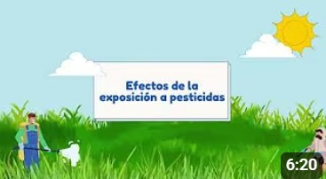 Una tarjeta de t&iacute;tulo de YouTube para un video titulado Efectos de los pesticidas