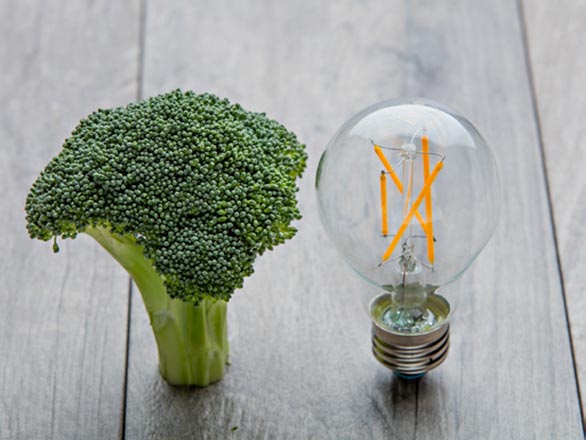 broccolli next to lightbulb