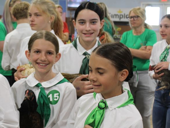 Thre 4-h girls showing chickens