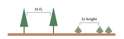 Illustration showing two trees with 10 feet of distance of distance between them. Also, smaller shrubs with two times height distance between them.