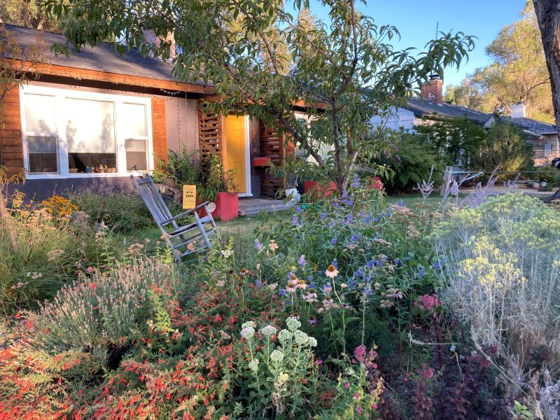 Landscape with dense plantings.