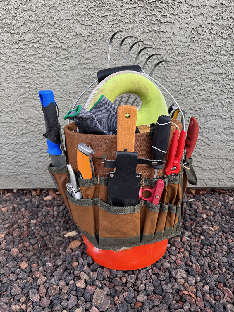 a hand holding small yellowish peas.