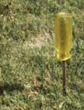 A screwdriver puncturing a deep, thick layer of grass.