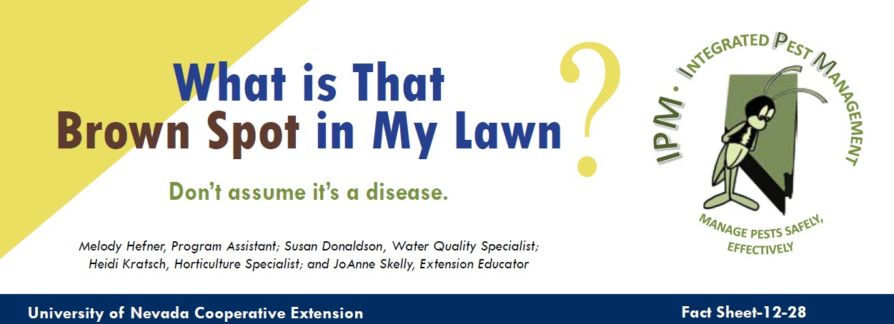 A graphic with yellow and white shapes, a bee graphic and text that reads "What is that Brown Spot in my Lawn?"