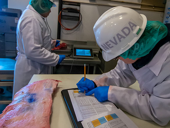 data collect at wolf pack meats