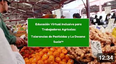 Una tarjeta de t&iacute;tulo para un video de YouTube titulado "Tolerancias a los plaguicidas y la docena sucia"