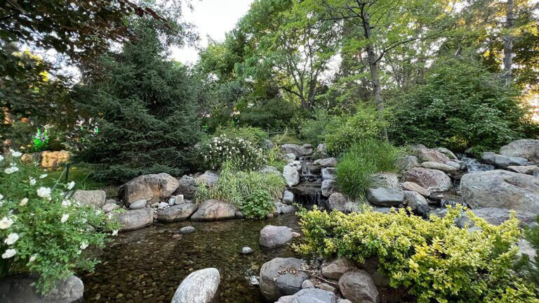 Large pond with green bushes, plants and trees surrounding it with large gray rocks.