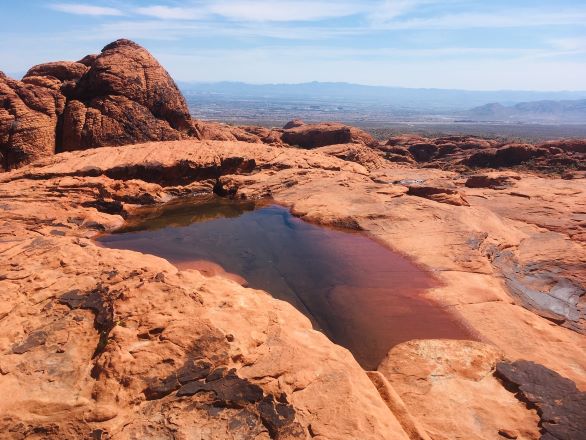 Red Rock Pool of Water
