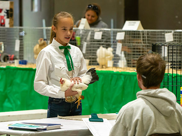 4-h expo