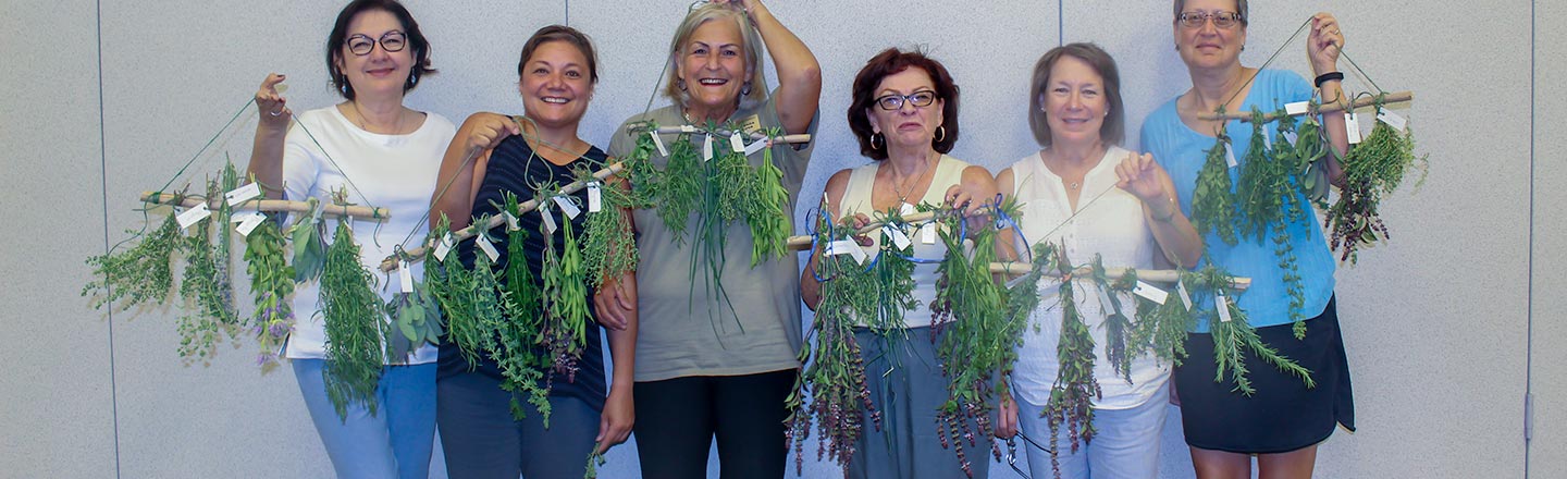 Group of Master Gardeners holding herb bundles