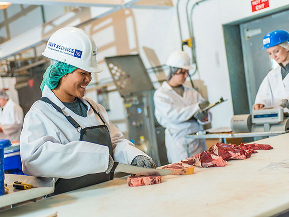 students learning how to process meat