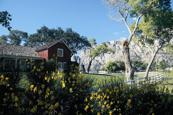 House with beautiful yellow flowers on fence at Spring Mountain Ranch