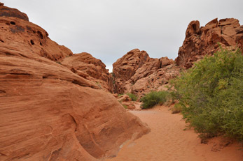 Red rock lined trails at Valley of Fire State Park