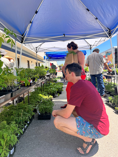 people standing and crouching down under pop-up tent with many green plants.