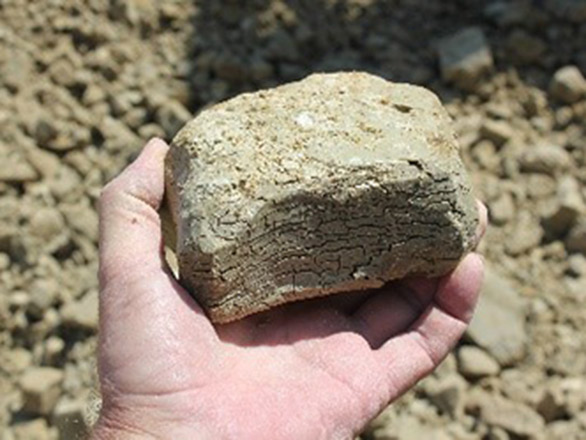 Hand holding a lithium rock