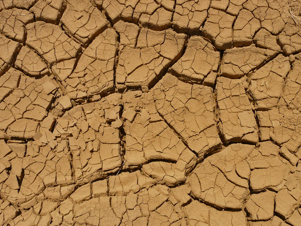 cracking mud in lake basin