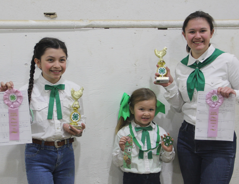 Three 4-H ribbon winners smile and hold up their prizes. On the left a young girl in braids, a white shirt, and green 4-H Kerchief holds up a ping Grand ribbon and a trophy. In the middle a young Clover Bud participant holds up a Clover medallion. On the right a teen 4-H Club member smiles and holds up a pink Grand ribbon and a trophy. 