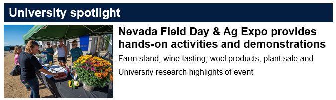 Screenshot of 2023 w88 online game in Nevada Weekly email newsletter.