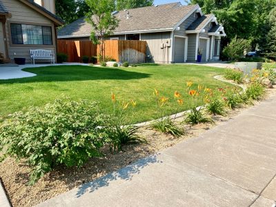 A buffer strip of drought-tolerant plants between the lawn and the sidewalk.