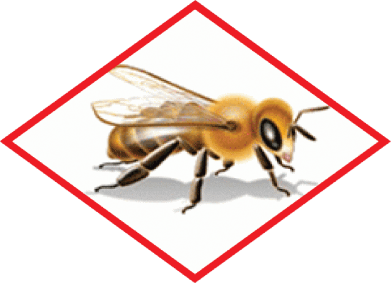 An Environmental Protection Agency bee advisory symbol, which alerts pesticide users to separate restrictions and instructions to protect bees and other insect pollinators. 