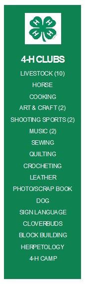 List of 4-H Clubs in Churchill County: Livestock, horse, cooking, art & craft, shooting sports, music, sewing, quilting, crocheting, leather, photo and scrpa book, dog club, sign language, clovrbuds, block building, herpetology, 4-H camp.