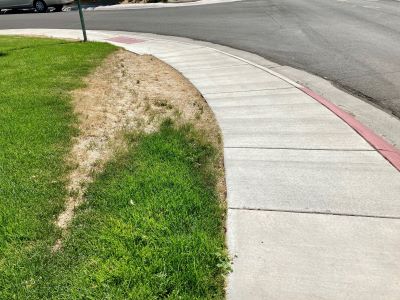 A large dead patch in a lawn adjacent to the sidewalk.