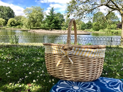 wicker picnic basket on green grass near a pond or lake