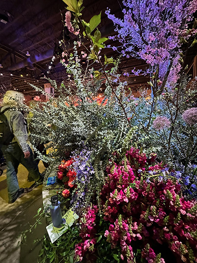 A room full of multi colored flowers.