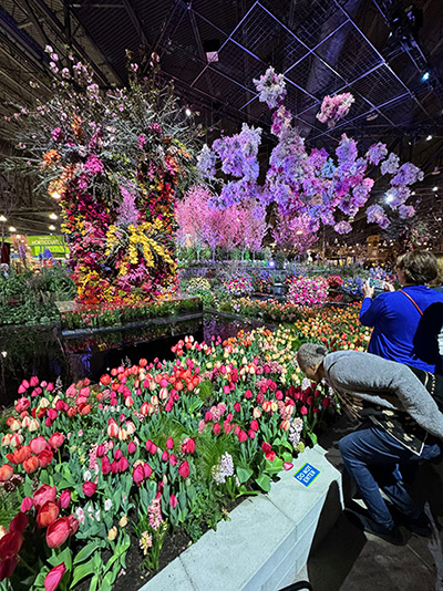 A room full of multi colored flowers and a woman bending over to smell a flower.