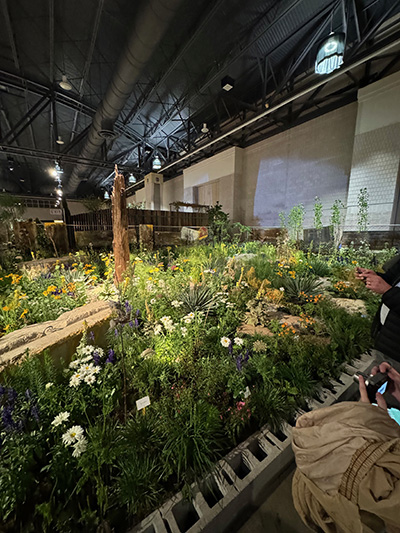 A room full of green plants with white and yellow flowers.