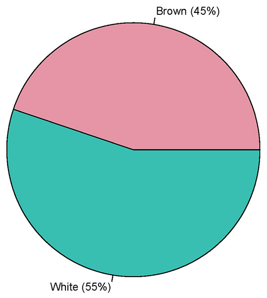 pie chart 1