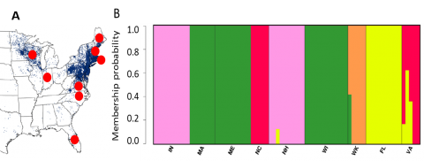 picture of membership probability